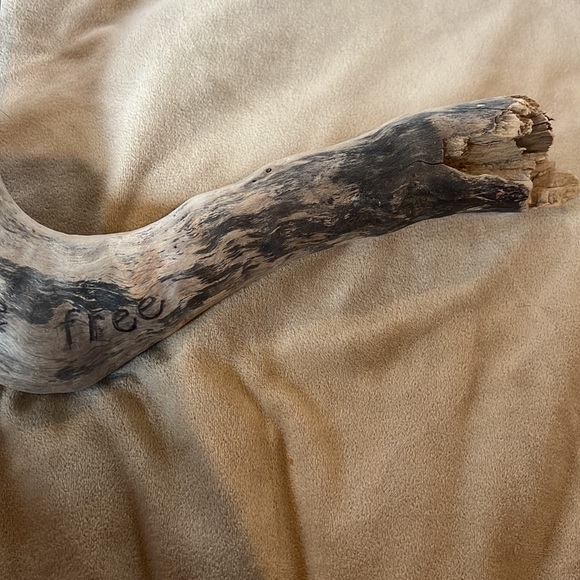 “Honeybee set me free” driftwood - Picture 4 of 5